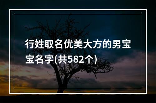 行姓取名优美大方的男宝宝名字(共582个)