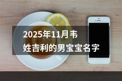 2025年11月韦姓吉利的男宝宝名字