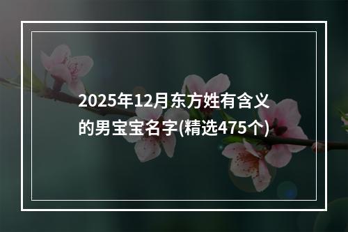 2025年12月东方姓有含义的男宝宝名字(精选475个)
