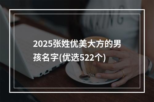 2025张姓优美大方的男孩名字(优选522个)