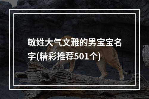 敏姓大气文雅的男宝宝名字(精彩推荐501个)