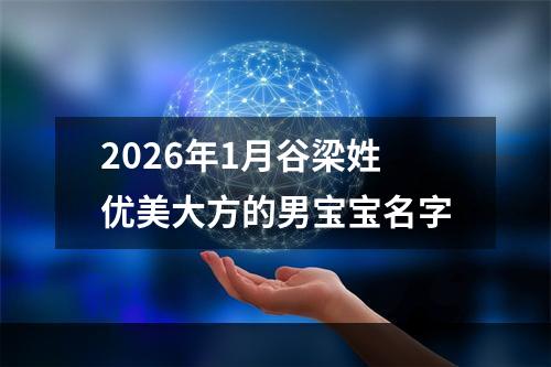 2026年1月谷梁姓优美大方的男宝宝名字