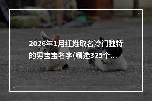 2026年1月红姓取名冷门独特的男宝宝名字(精选325个)