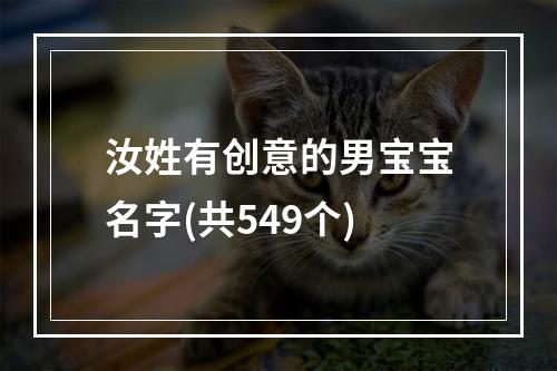 汝姓有创意的男宝宝名字(共549个)