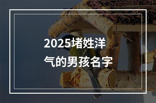 2025堵姓洋气的男孩名字