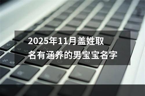 2025年11月盖姓取名有涵养的男宝宝名字