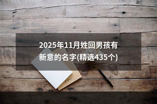 2025年11月姓回男孩有新意的名字(精选435个)