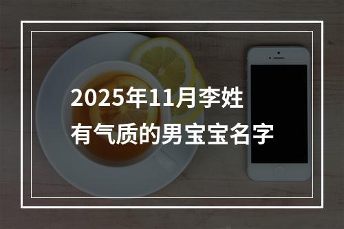 2025年11月李姓有气质的男宝宝名字