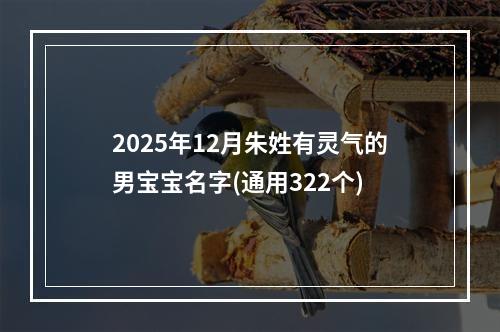 2025年12月朱姓有灵气的男宝宝名字(通用322个)