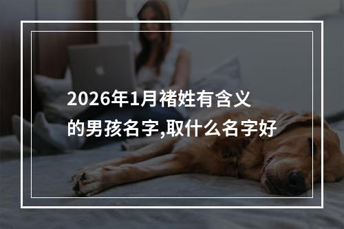 2026年1月褚姓有含义的男孩名字,取什么名字好