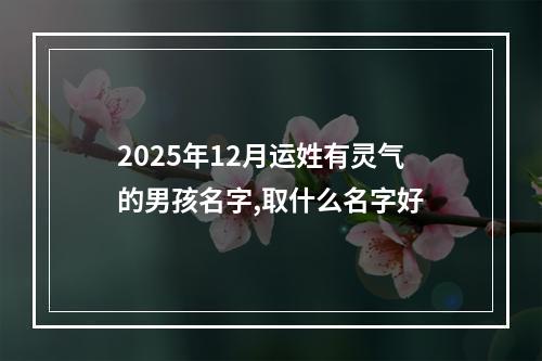 2025年12月运姓有灵气的男孩名字,取什么名字好