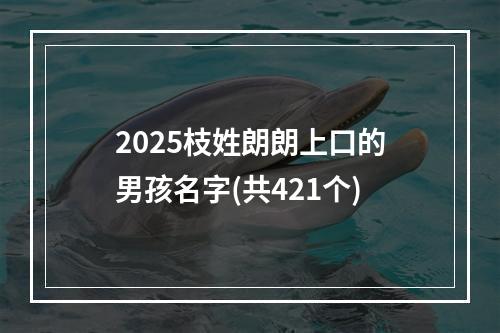 2025枝姓朗朗上口的男孩名字(共421个)