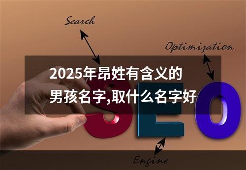 2025年昂姓有含义的男孩名字,取什么名字好