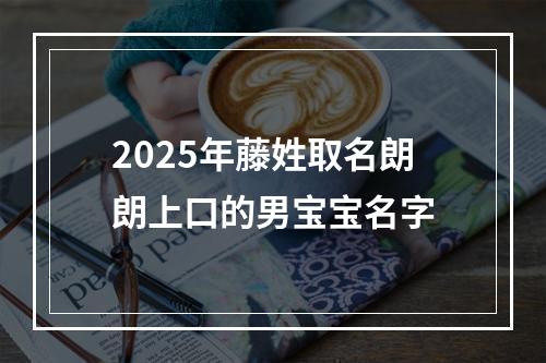 2025年藤姓取名朗朗上口的男宝宝名字