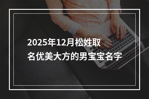 2025年12月松姓取名优美大方的男宝宝名字