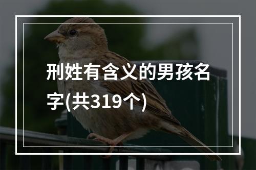 刑姓有含义的男孩名字(共319个)