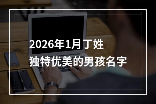 2026年1月丁姓独特优美的男孩名字
