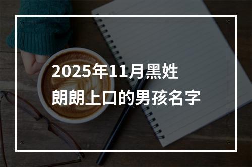 2025年11月黑姓朗朗上口的男孩名字