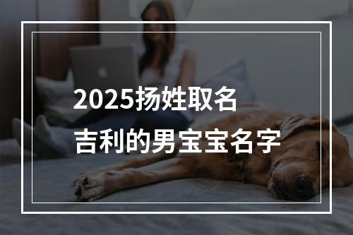 2025扬姓取名吉利的男宝宝名字