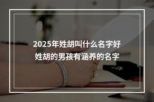 2025年姓胡叫什么名字好 姓胡的男孩有涵养的名字