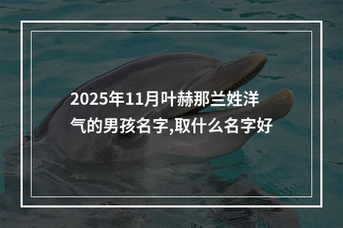 2025年11月叶赫那兰姓洋气的男孩名字,取什么名字好
