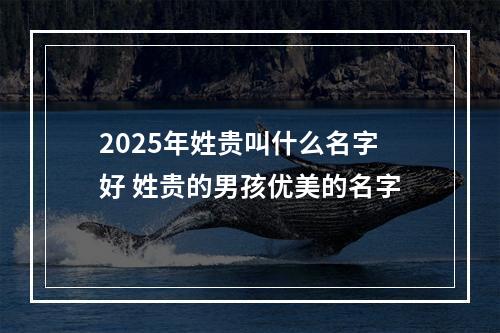 2025年姓贵叫什么名字好 姓贵的男孩优美的名字
