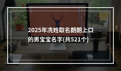 2025年冼姓取名朗朗上口的男宝宝名字(共521个)