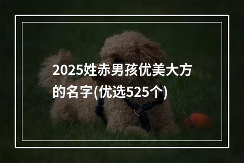 2025姓赤男孩优美大方的名字(优选525个)