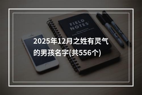 2025年12月之姓有灵气的男孩名字(共556个)