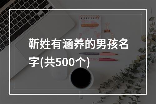 靳姓有涵养的男孩名字(共500个)