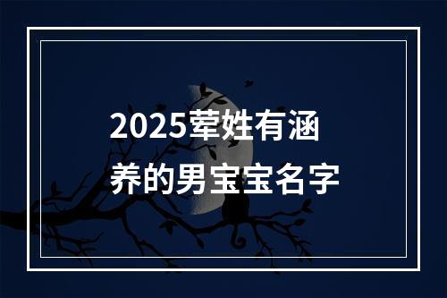 2025荤姓有涵养的男宝宝名字