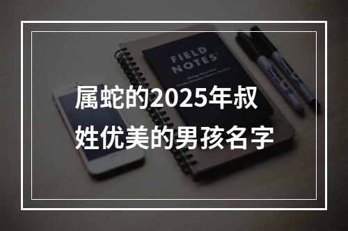 属蛇的2025年叔姓优美的男孩名字