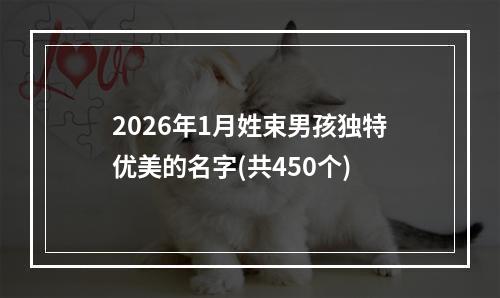 2026年1月姓束男孩独特优美的名字(共450个)