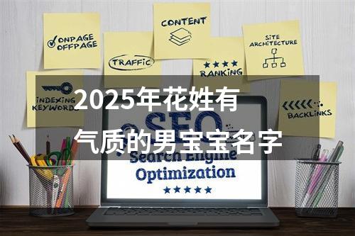 2025年花姓有气质的男宝宝名字