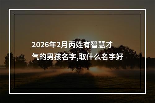 2026年2月丙姓有智慧才气的男孩名字,取什么名字好
