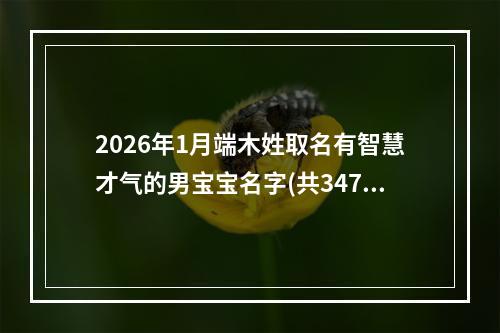 2026年1月端木姓取名有智慧才气的男宝宝名字(共347个)