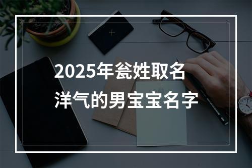 2025年瓮姓取名洋气的男宝宝名字