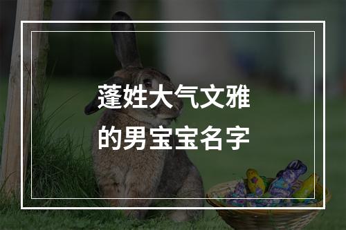蓬姓大气文雅的男宝宝名字