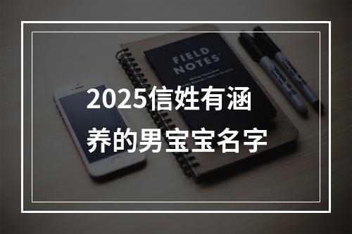 2025信姓有涵养的男宝宝名字