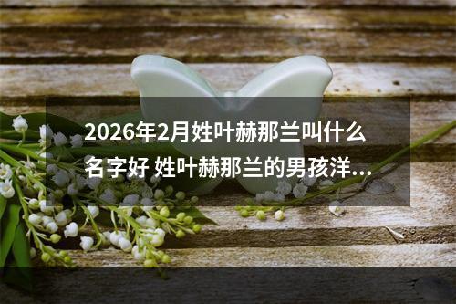 2026年2月姓叶赫那兰叫什么名字好 姓叶赫那兰的男孩洋气的名字