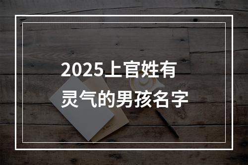 2025上官姓有灵气的男孩名字