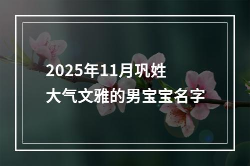 2025年11月巩姓大气文雅的男宝宝名字