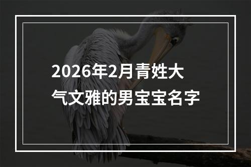 2026年2月青姓大气文雅的男宝宝名字