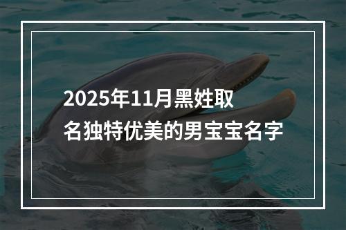 2025年11月黑姓取名独特优美的男宝宝名字