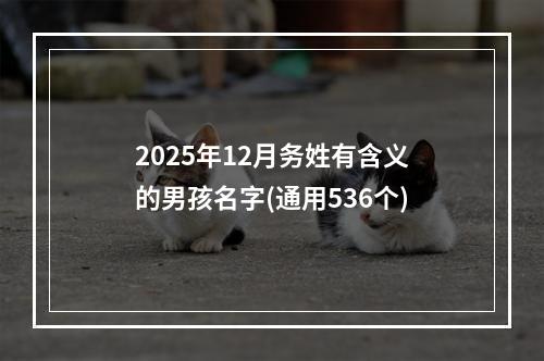 2025年12月务姓有含义的男孩名字(通用536个)