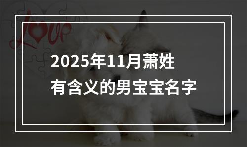 2025年11月萧姓有含义的男宝宝名字