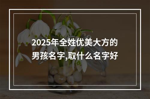 2025年全姓优美大方的男孩名字,取什么名字好