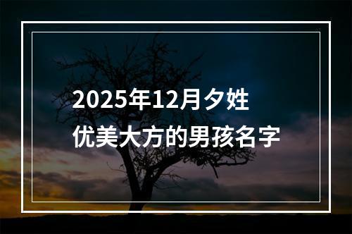 2025年12月夕姓优美大方的男孩名字