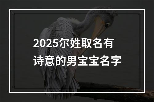 2025尔姓取名有诗意的男宝宝名字