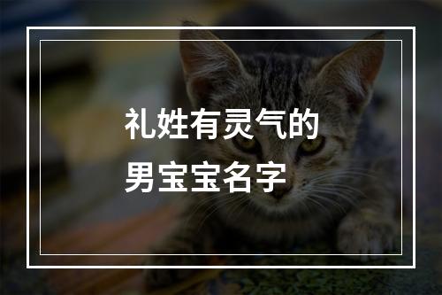 礼姓有灵气的男宝宝名字